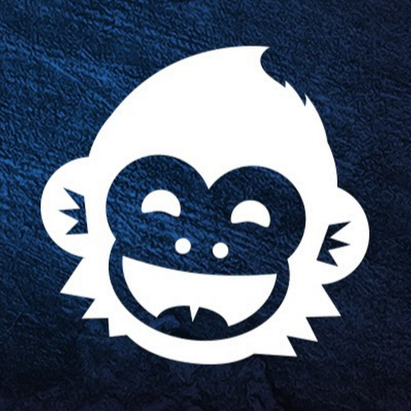 rockinchimp