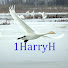 WarL4vURLYw-channel-avatar-1HarryH