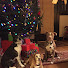 9kfC-k6y3T4-channel-avatar-The Family Huff adventures