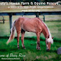 Beauty's Haven Farm and Equine Rescue Inc logo