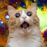0Nqgw5jnghw-channel-avatar-KiwiStuff