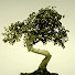 hvmtSyG3zRU-channel-avatar-Distant Family Productions