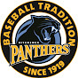 Kitchener Panthers Live Feed logo