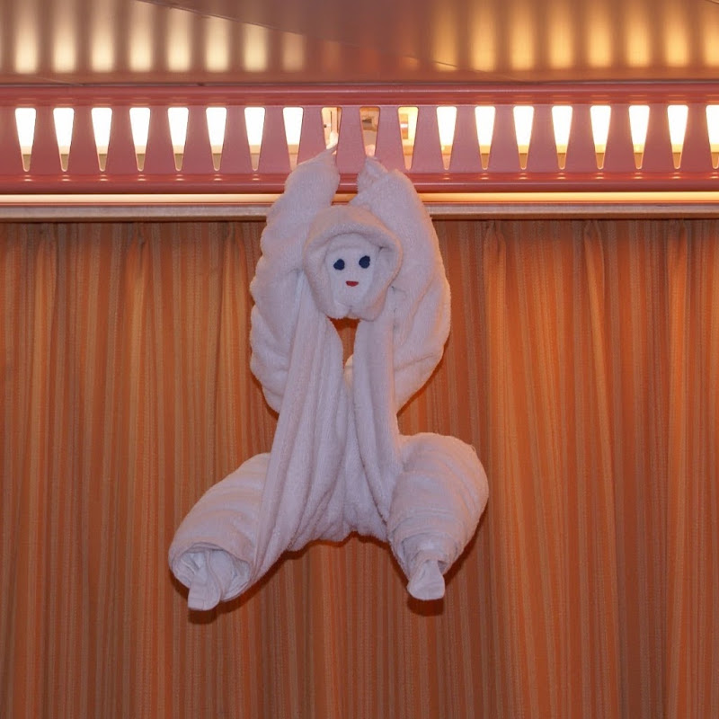 Cruise Monkey