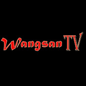 Wangsan TV