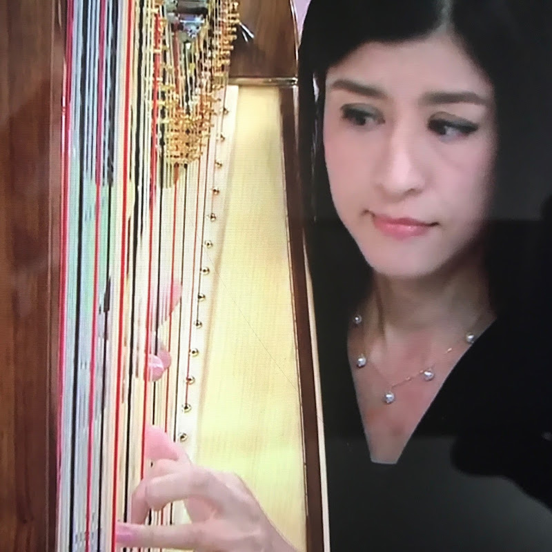 Sam the harpist & pianist