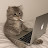 @nothashirirfxn's avatar
