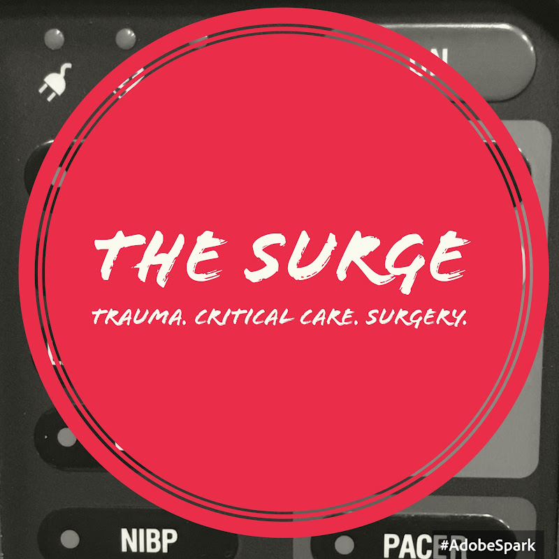 The Surge Podcast