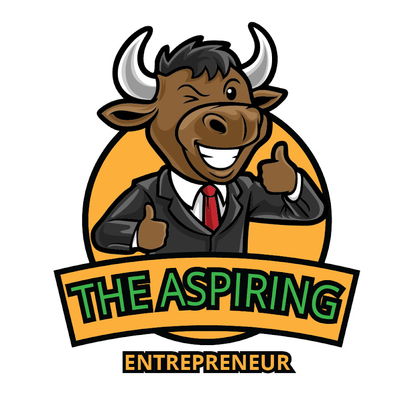 The Aspiring Entrepreneur