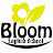 英会話教室BLOOM