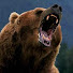 XhaJMgQ4ZDk-channel-avatar-クマー