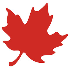 The Globe and Mail Avatar