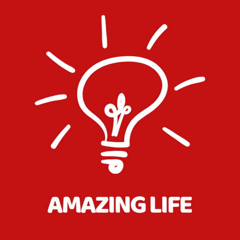 Amazing Life