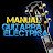 Manual Guitarra Eléctrica