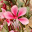 @user-st4hu2kj7j