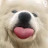 @하와이안민트초코딸기