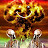 @jonahweidenbaum4848 Avatar