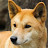 @monkeyxx's avatar