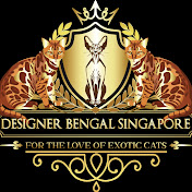 DESIGNER BENGAL SINGAPORE