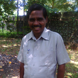 David Raja photo