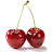 @cherry-sl4ir