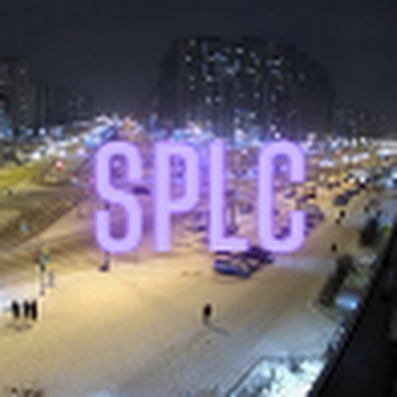 Saint Petersburg Live Camera logo