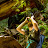 @AndyRosebrook's avatar