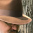 @CashewPaul