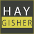 HoTGw9cKp4U-channel-avatar-H A Y G I S H E R