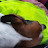 @gregb1599 Avatar