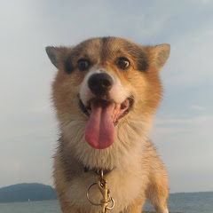 O油煙（到此一遊）アイコン画像