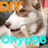 V3TsSVwG8vo-channel-avatar-Ohyo56