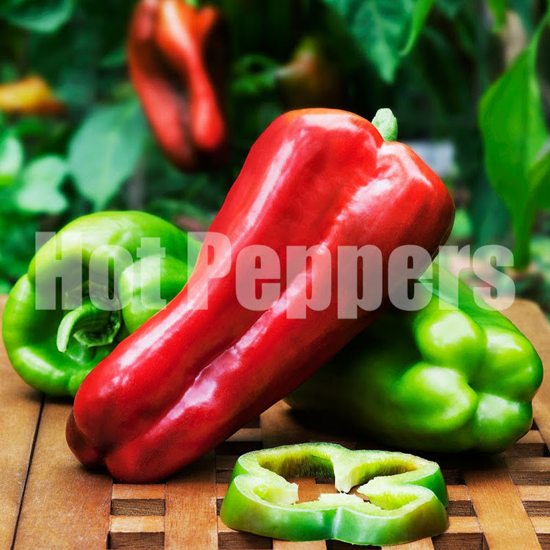 Hot Peppers Kitchen
