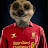 @stephencollins5706 Avatar
