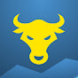 Bull Investor