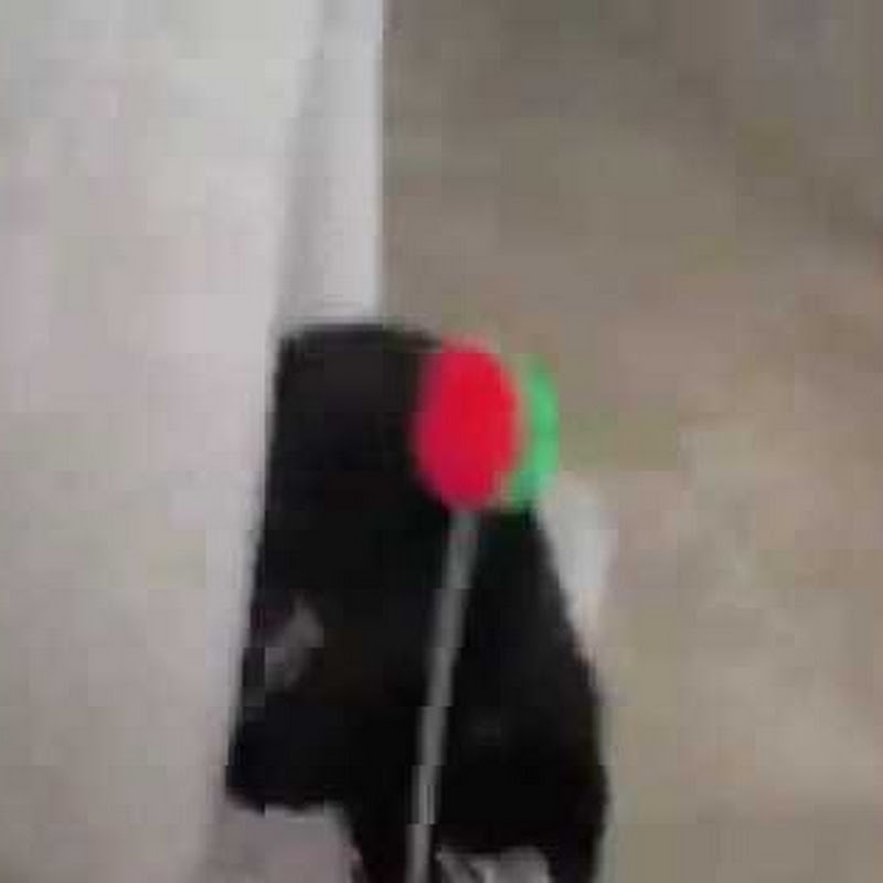 Kittenz4u