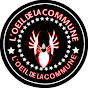 L'ŒIL DE LA COMMUNE