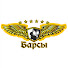 4j76OfZI-2g-channel-avatar-AVIABARSOV