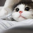 @고양이-z5w