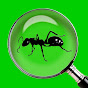 Antkeeper logo