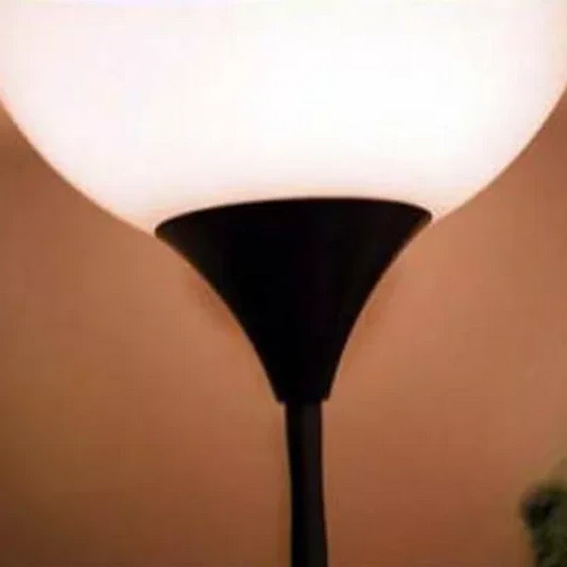 Hey, check this out!