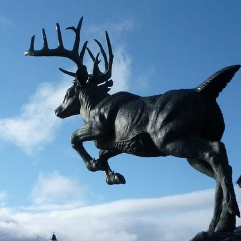 MiPetoskey icon