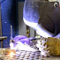 sgnP_8yjTdQ-channel-avatar-WeldingProjects