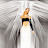 @tgrkiller Avatar
