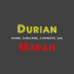 DURIAN MERAH net worth