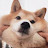 @user-tv8wp7ti9b