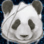 Xili Nong
