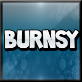Burnsy