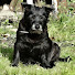sZFDkXIV4g8-channel-avatar-pennysteam