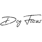 Dog Focus